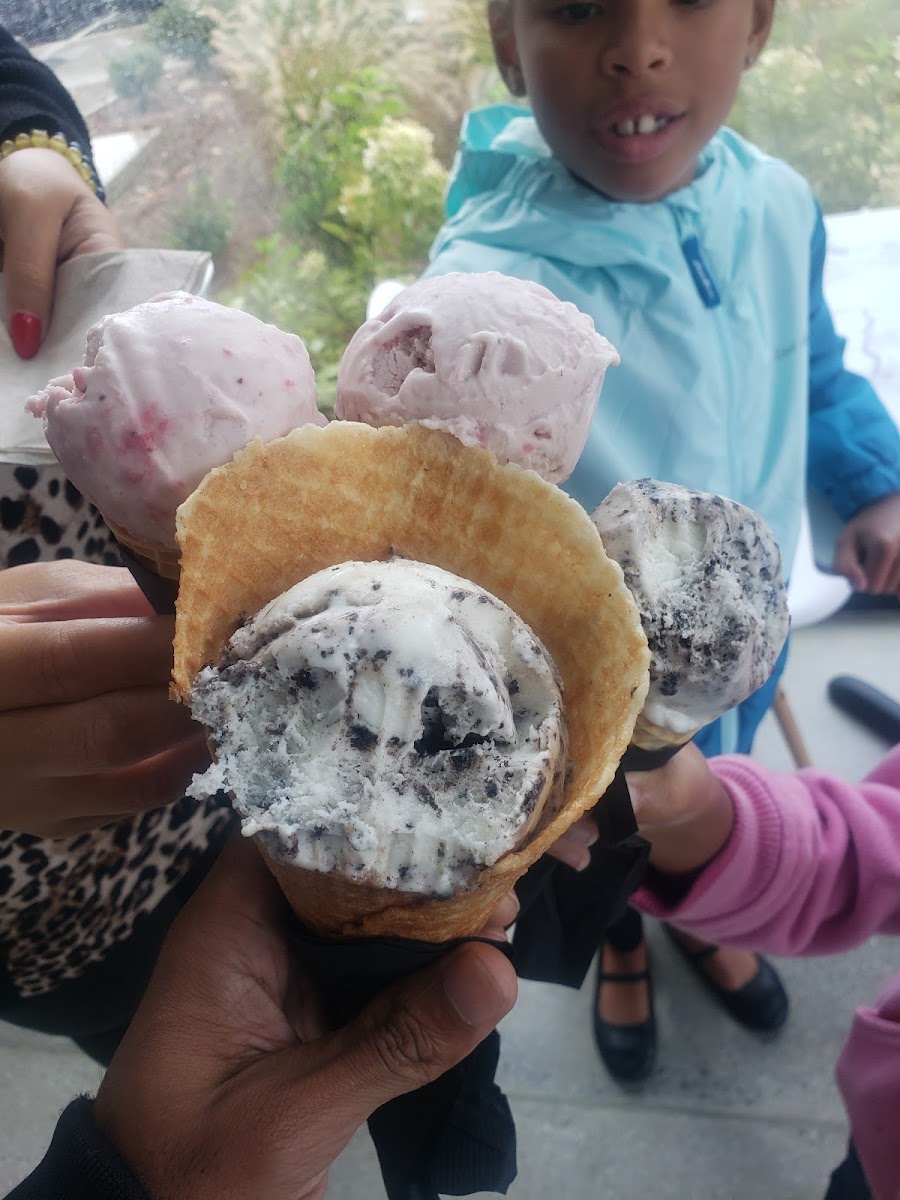 Sunny Ice Cream Photo 9