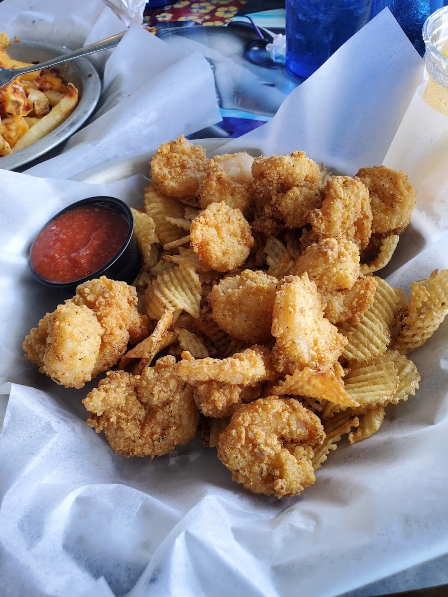 LandShark Bar & Grill - North Myrtle Beach Photo 5