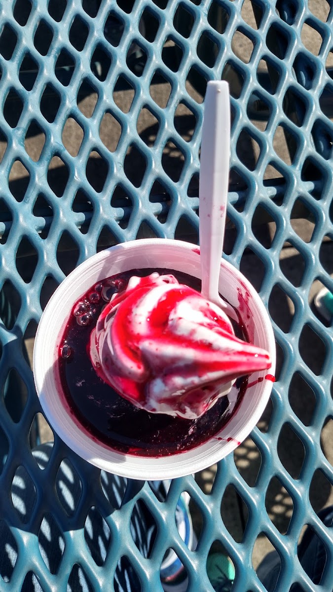 Zesto Ice Cream Photo 10