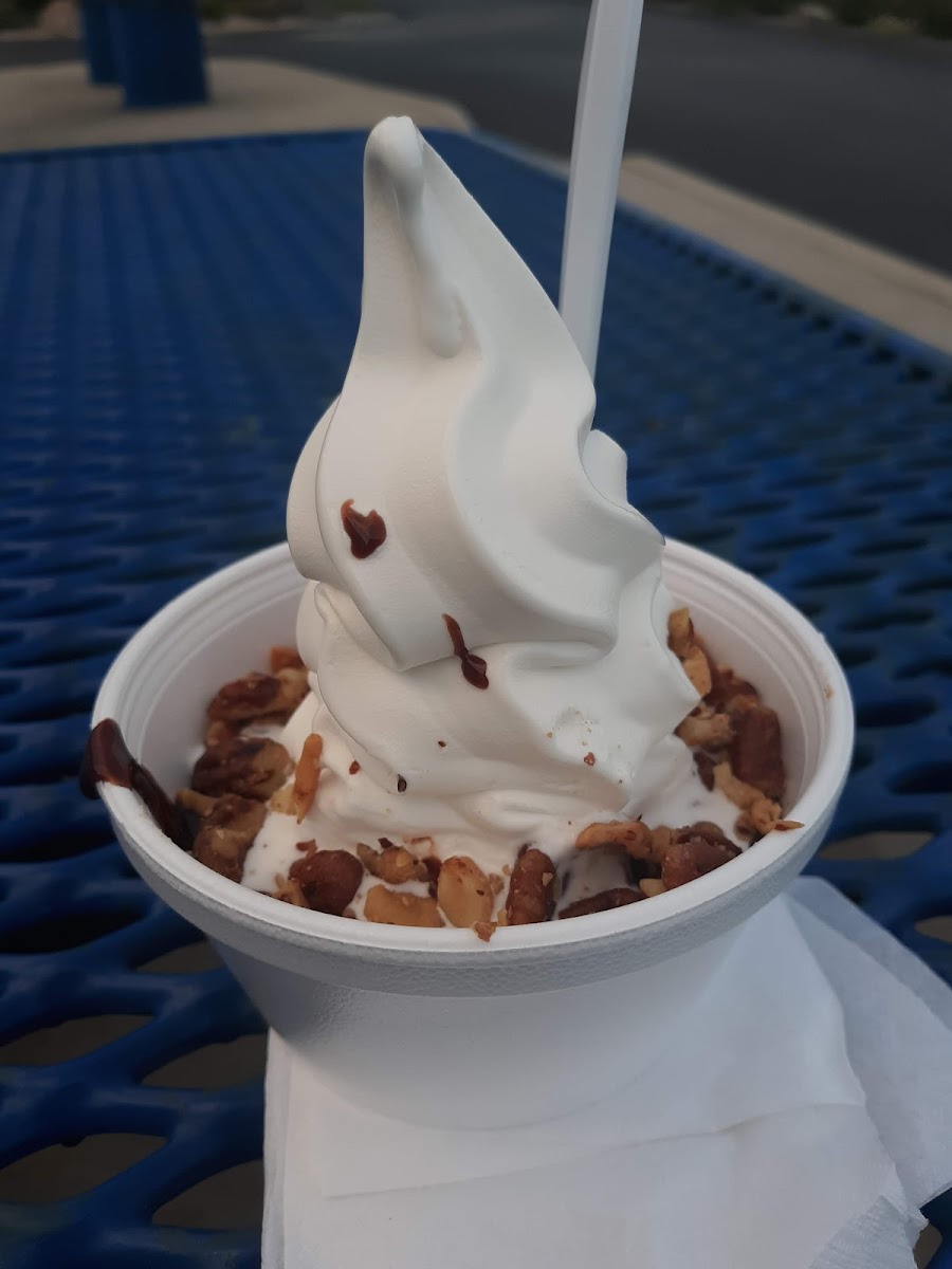 Zesto Ice Cream Photo 6