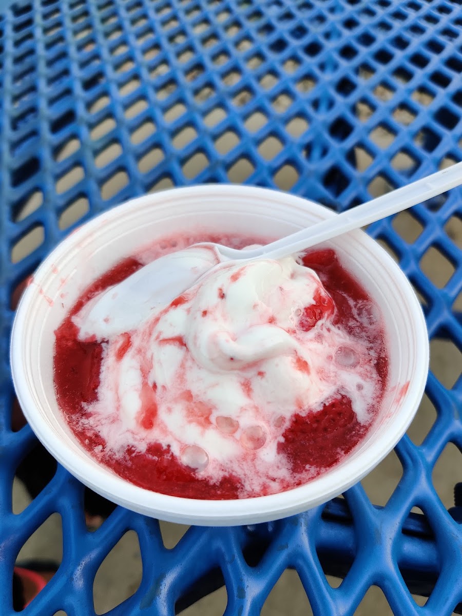 Zesto Ice Cream Photo 8