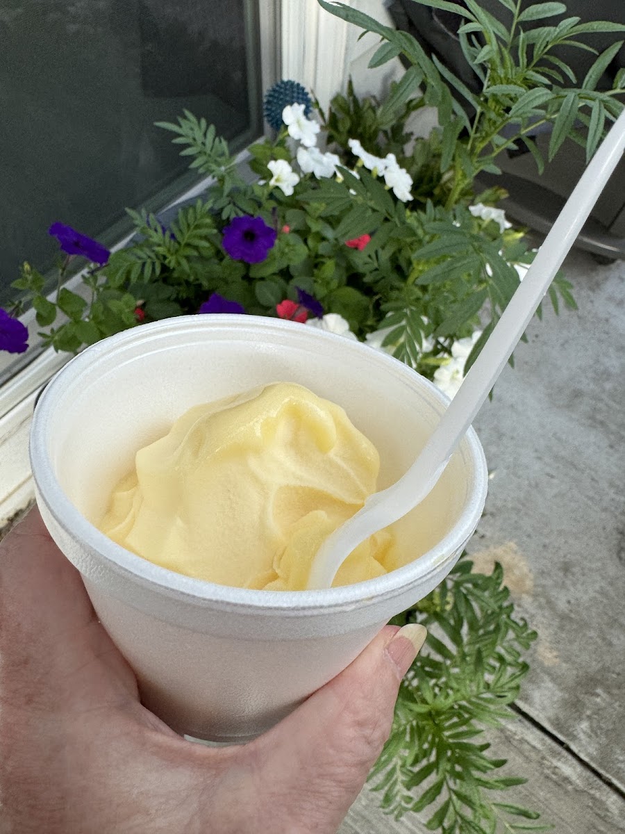 Zesto Ice Cream Photo 9