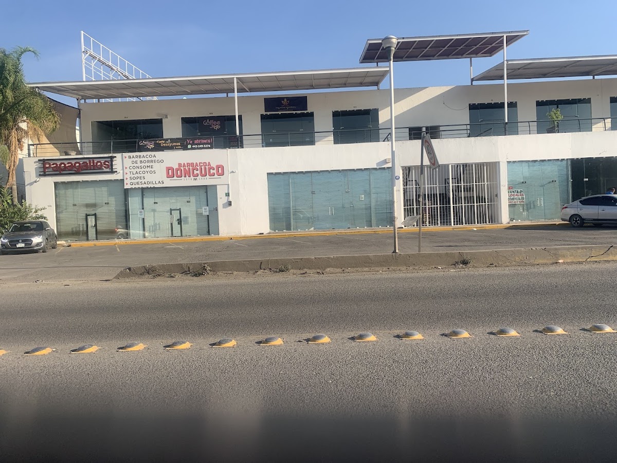 Papagallos Photo 2