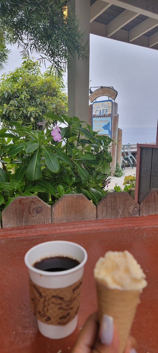 Gorda Cafe Photo 7