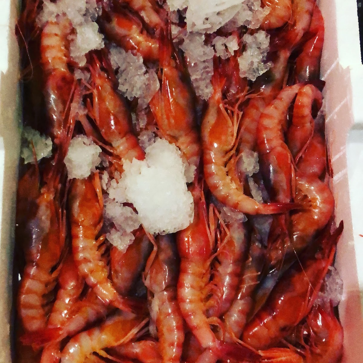 Il Peperoncino Seafood & Pizza Photo 4