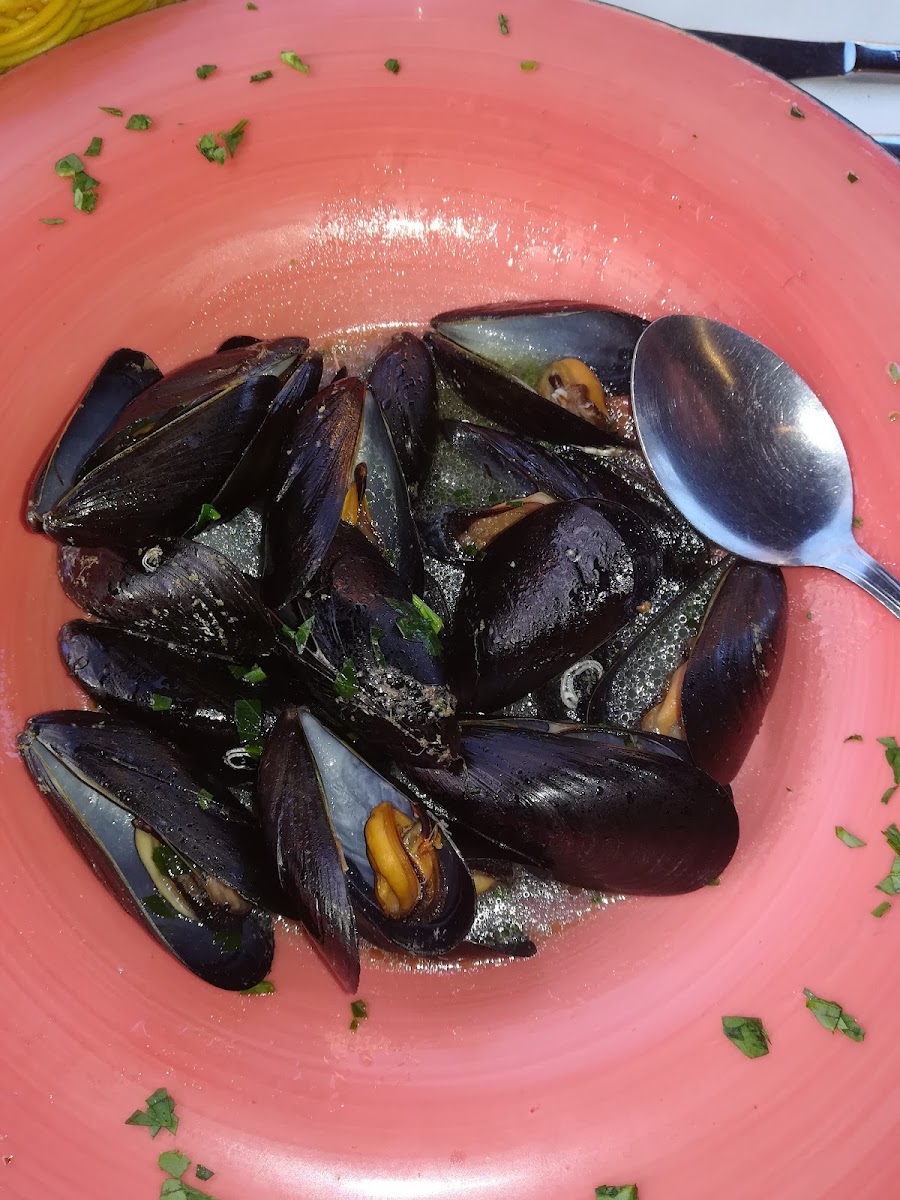 Il Peperoncino Seafood & Pizza Photo 9