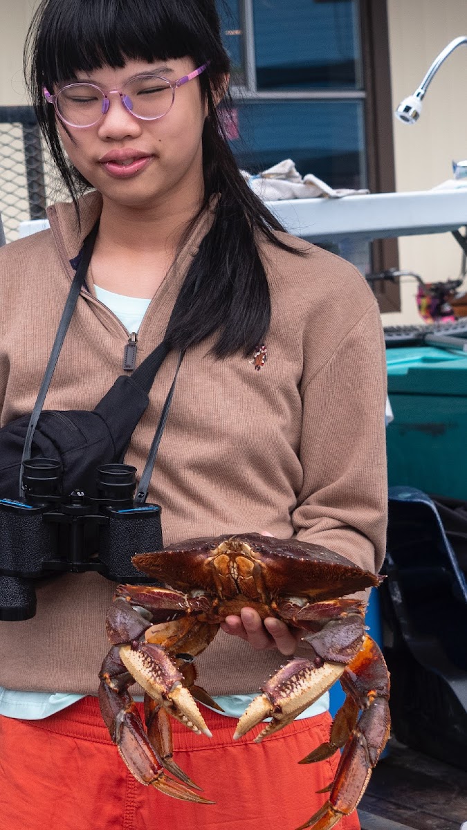Crab Tent Photo 3