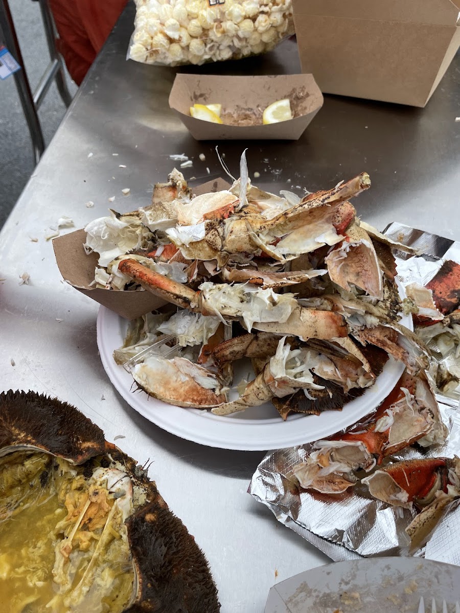 Crab Tent Photo 6