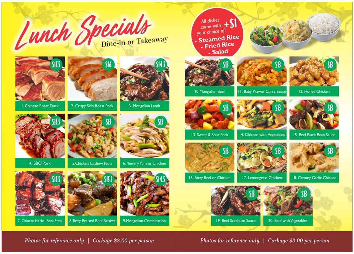 Yummy Yummy Chinese Restaurant Photo Menu 5