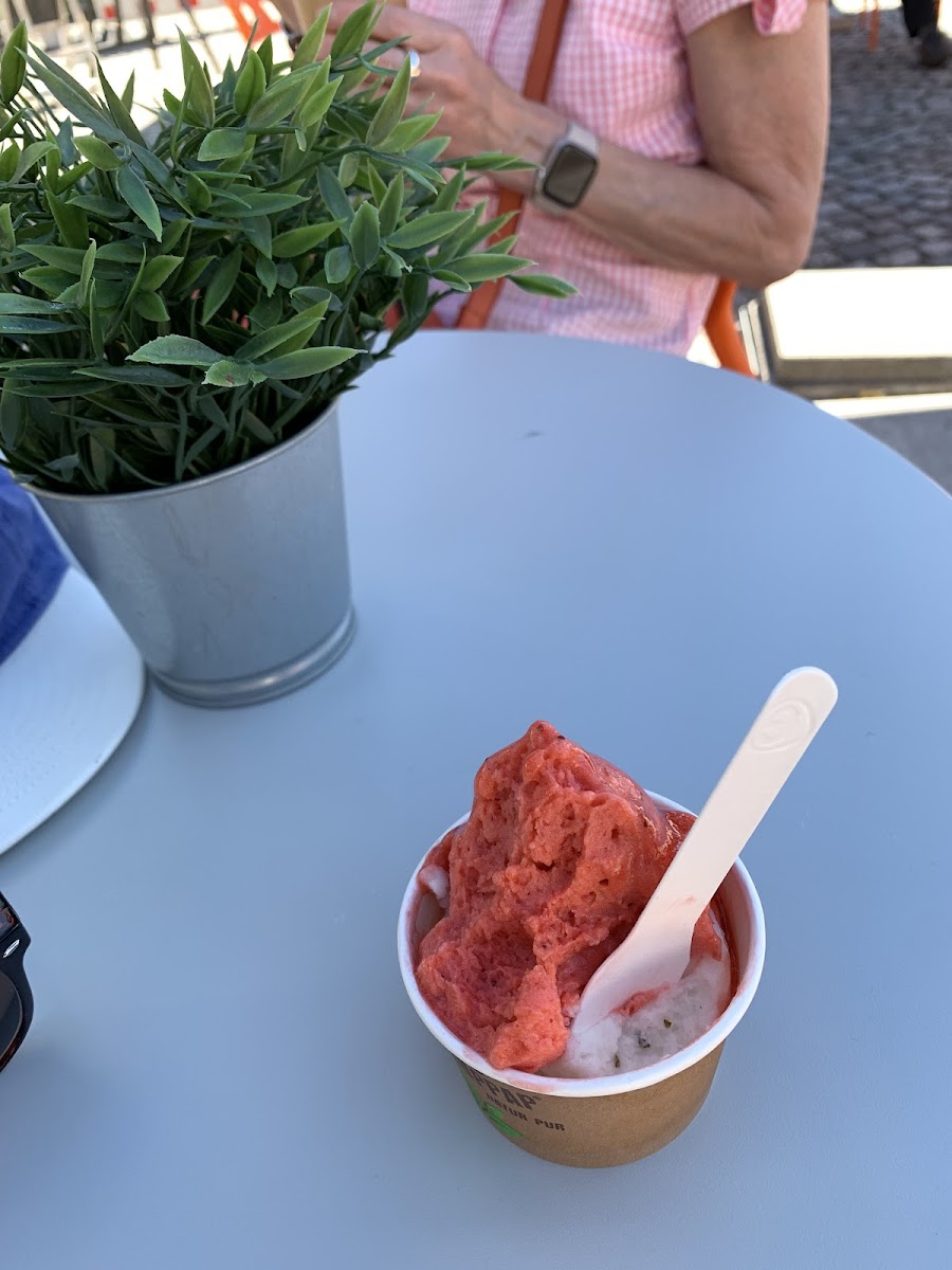 THOLEIS - Die Eisbar in Tholey Photo 9