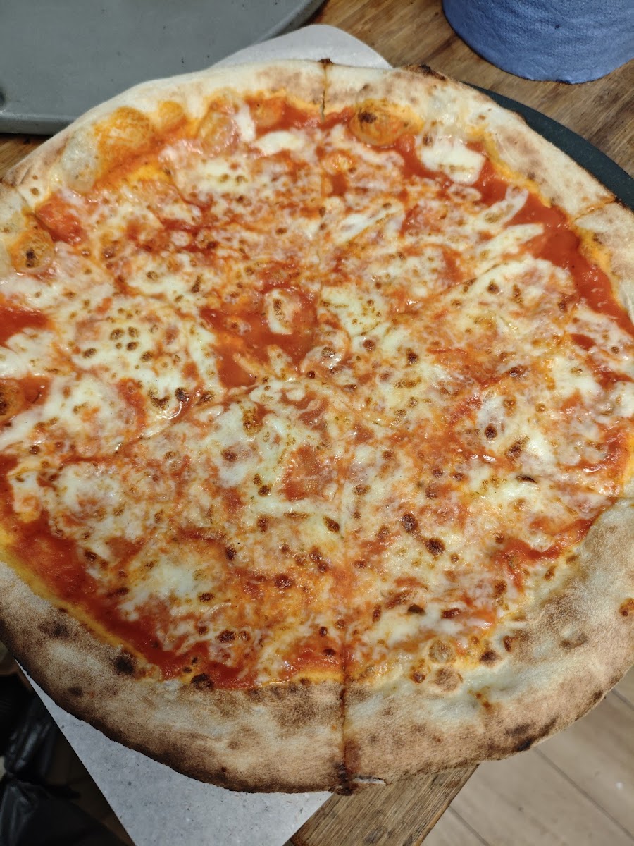 Mozzarella Kosher Photo 4