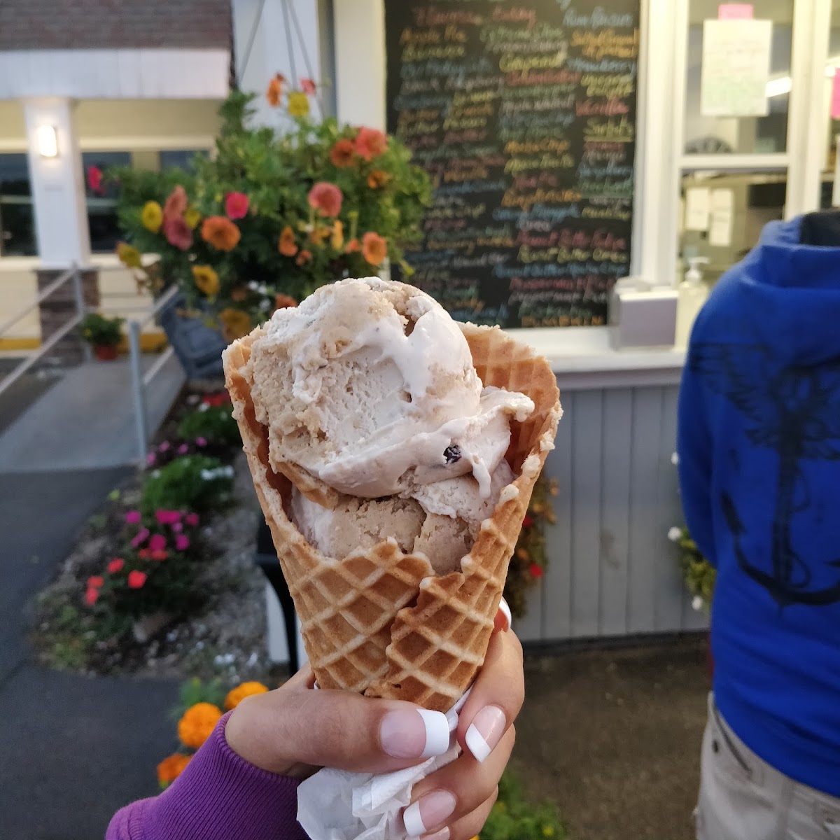 Penguins Ice Cream Igloo Photo 10