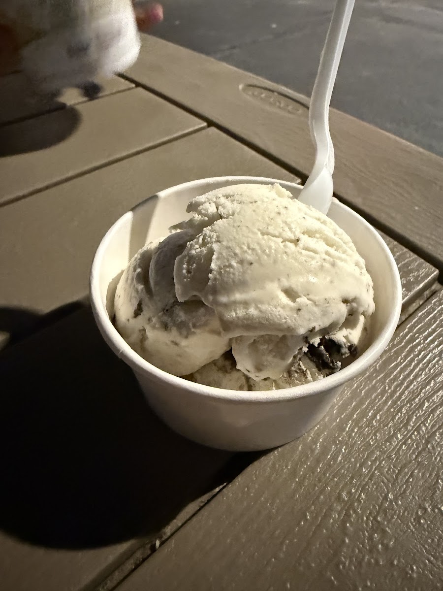 Penguins Ice Cream Igloo Photo 2