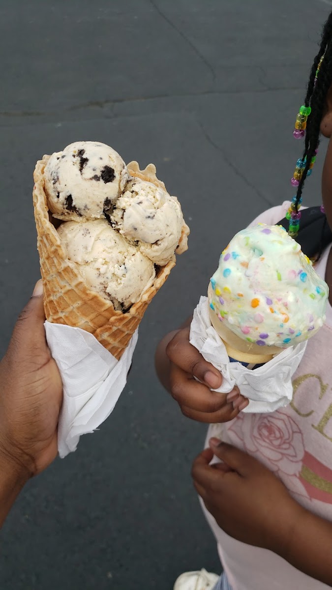 Penguins Ice Cream Igloo Photo 6