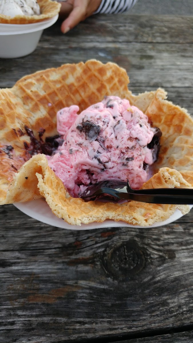 Penguins Ice Cream Igloo Photo 8