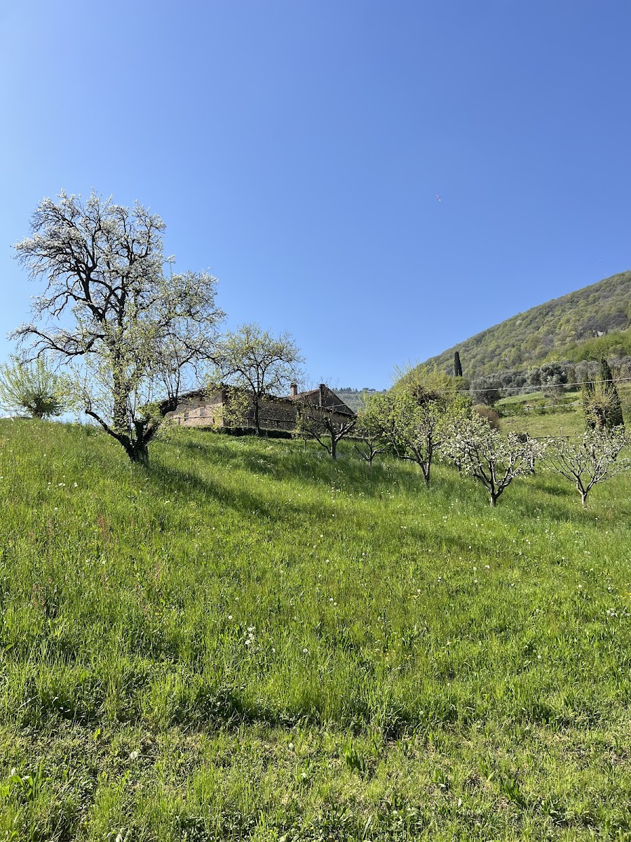 Agriturismo ai Cucati Photo 4