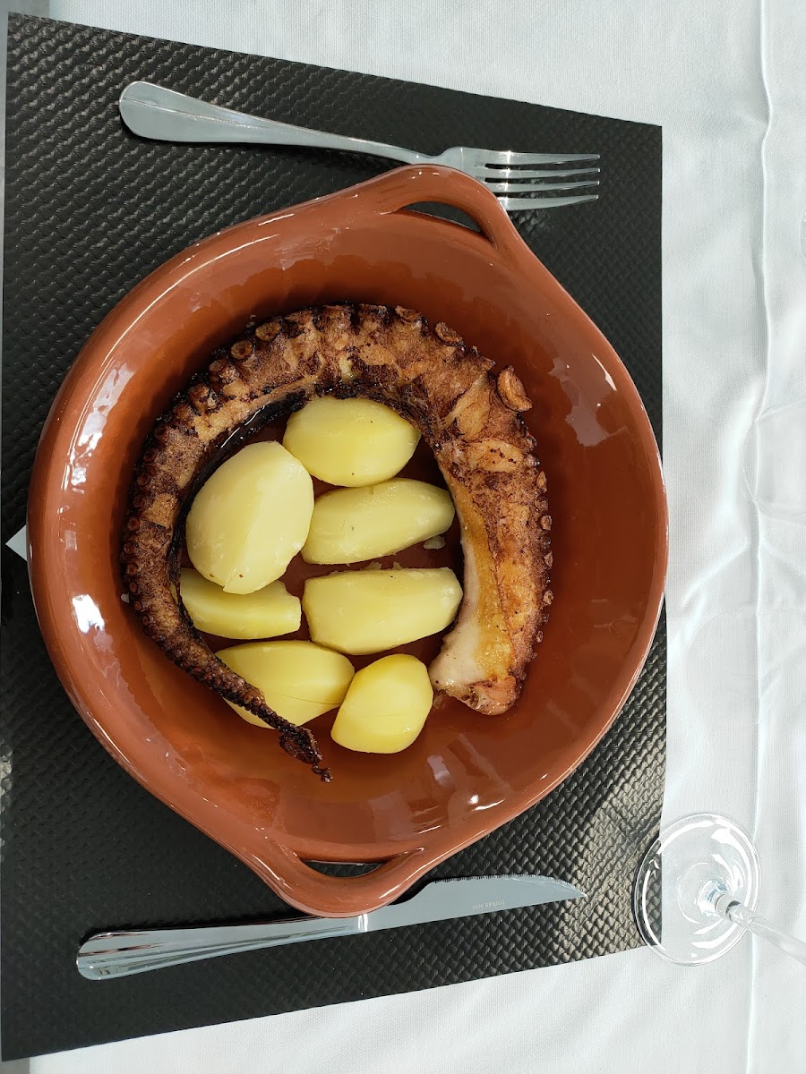 ALFAMA ALEGRE Photo 10
