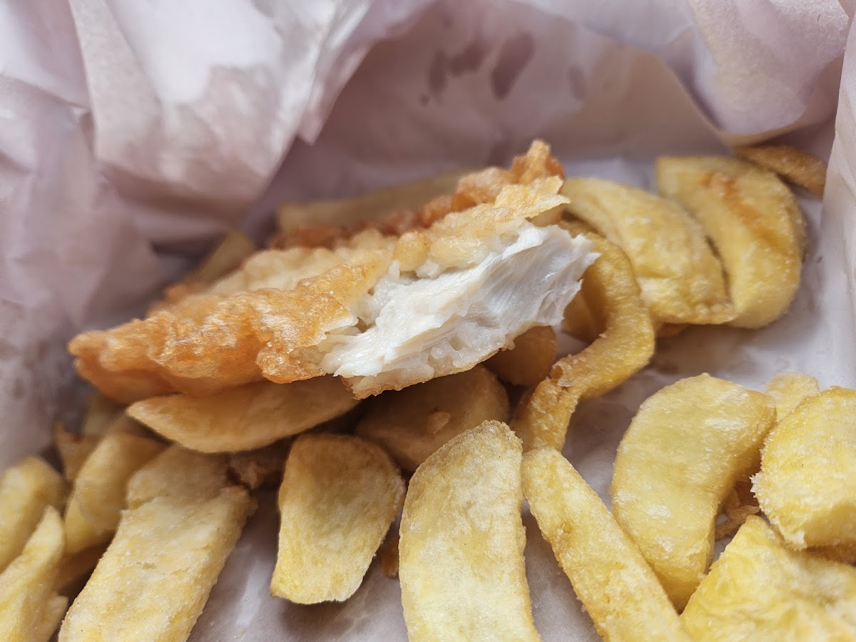Bower Fish Supply