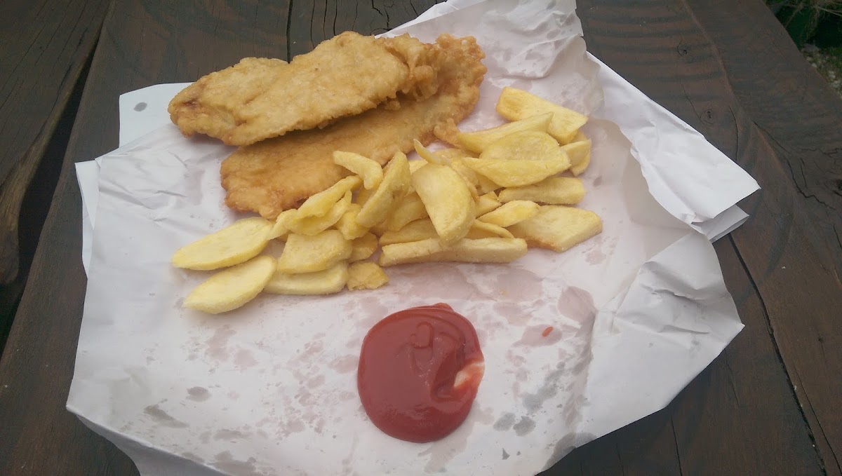 Bower Fish Supply Photo 6
