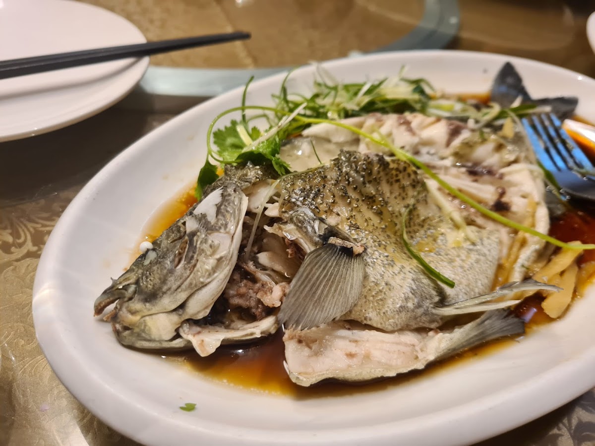 Causeway Bay Seafood Restaurant Photo 10