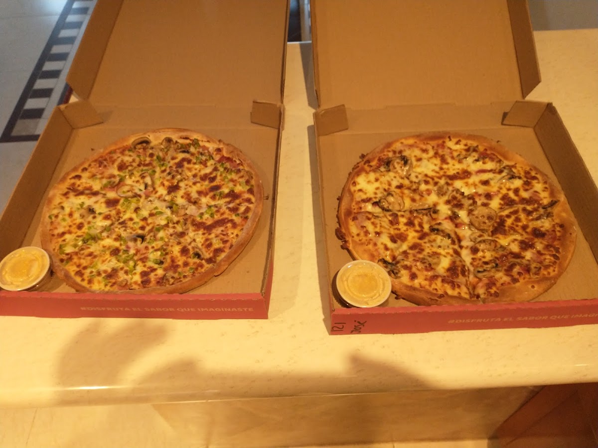 Cheese Pizza Vistas del Sol Photo 5