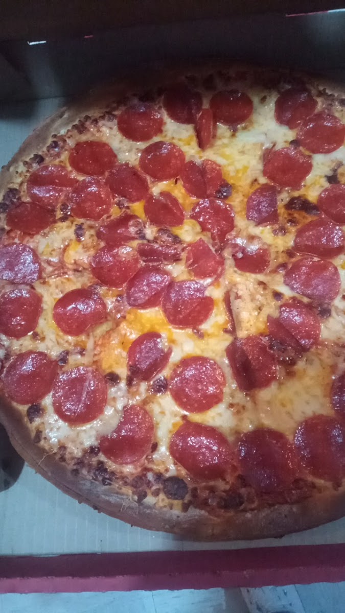 Cheese Pizza Vistas del Sol Photo 7