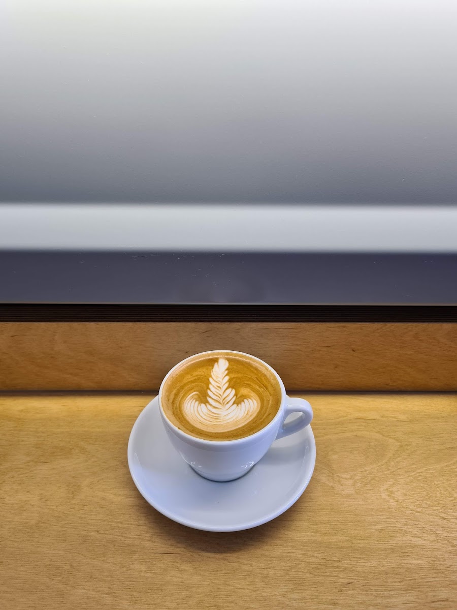 Kopiboy Photo 6