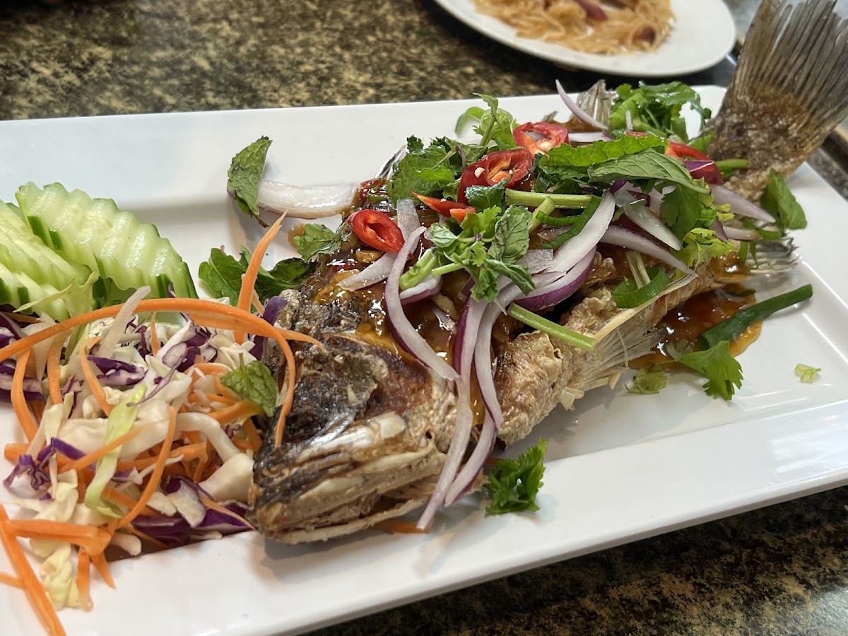 IMM THAI CAFE Photo 6