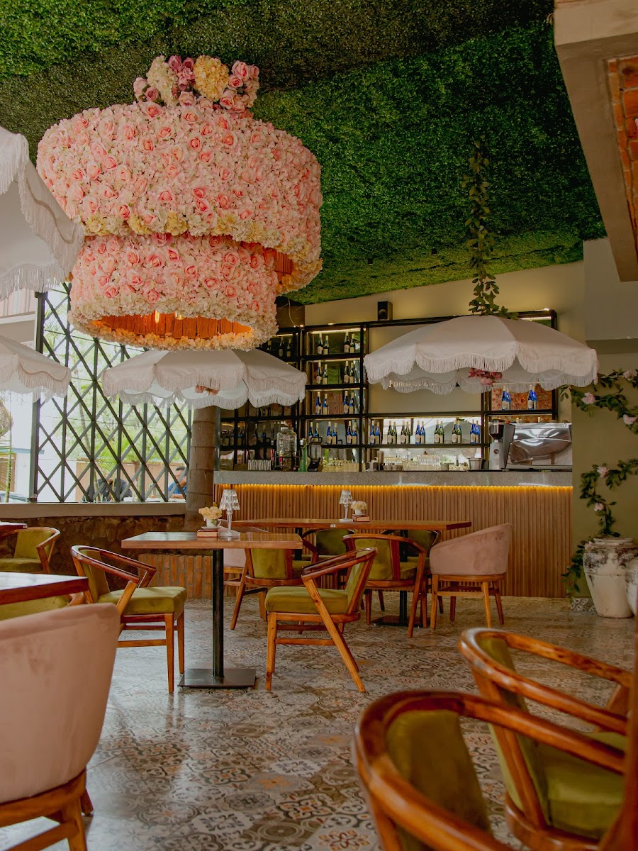 XO Restaurante Photo 7