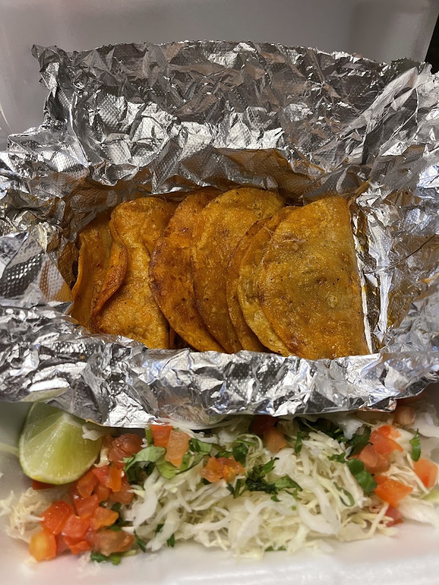 Taco Fiesta 956 Photo 10