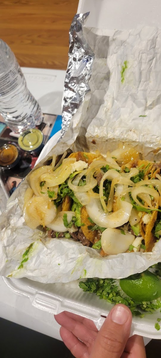 Taco Fiesta 956 Photo 7