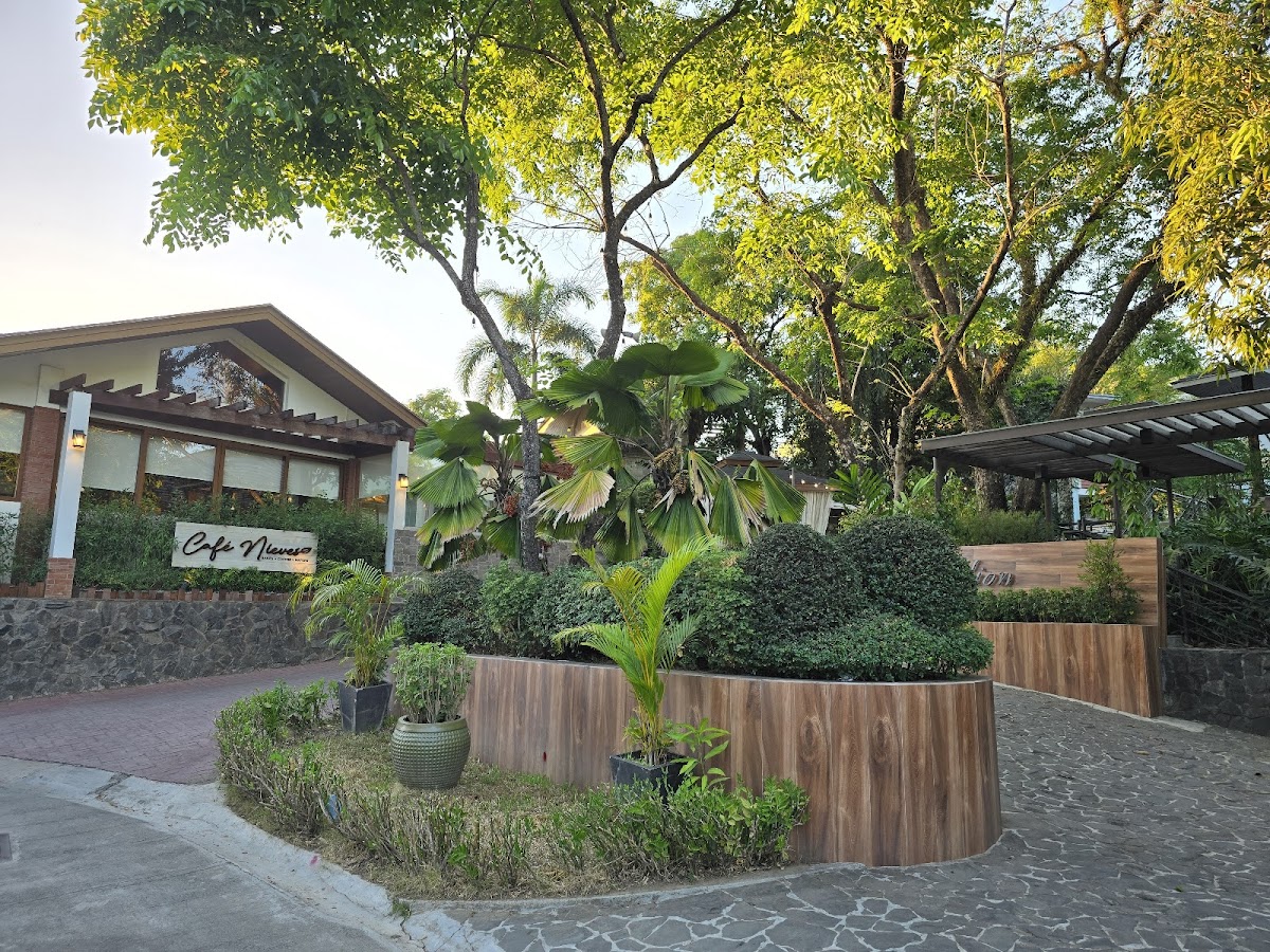 Cafe Nieves Photo 4