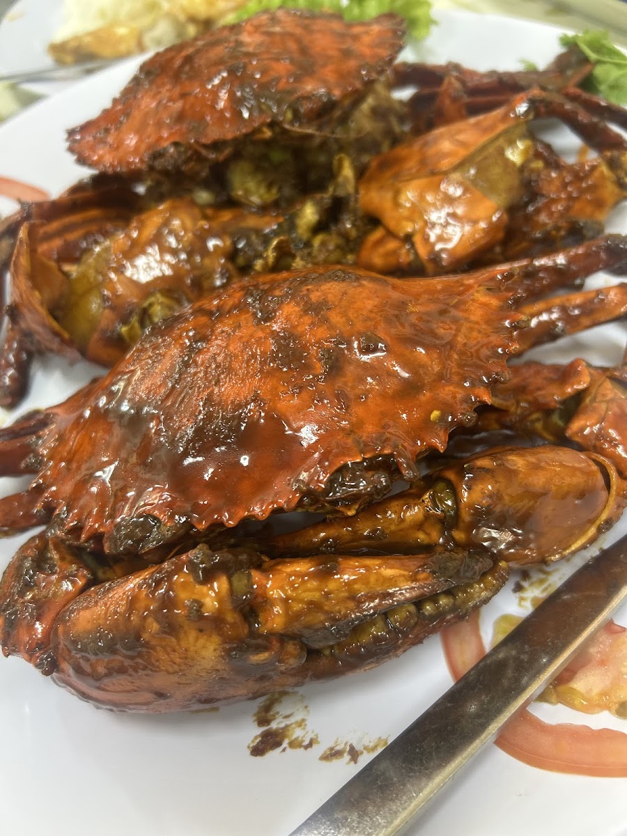 Harbor Village Crab House 海口人海鲜餐馆 Photo 5