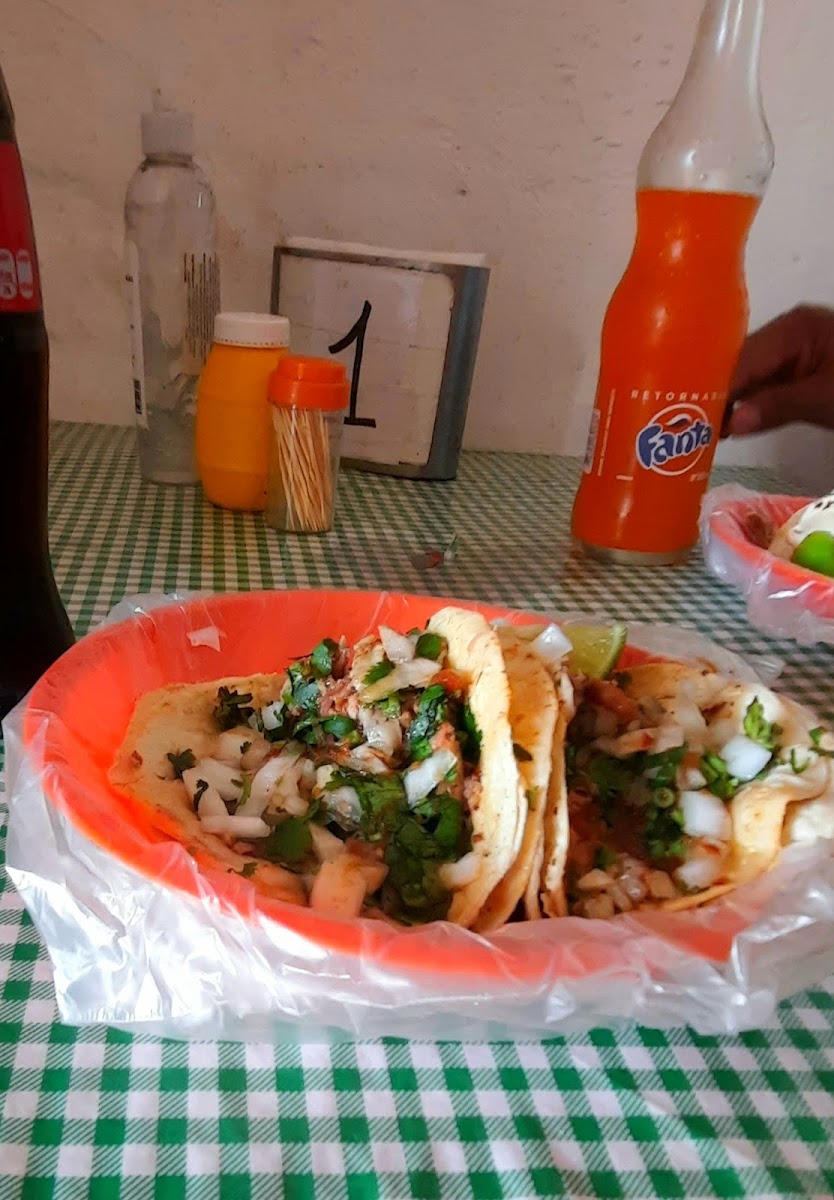 Tacos de Birria Rigo Photo 10