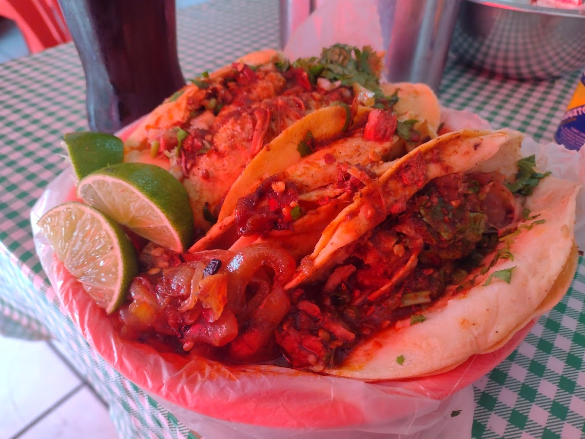 Tacos de Birria Rigo Photo 2