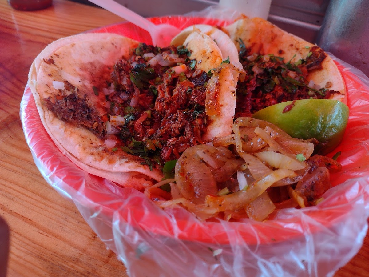 Tacos de Birria Rigo Photo 5