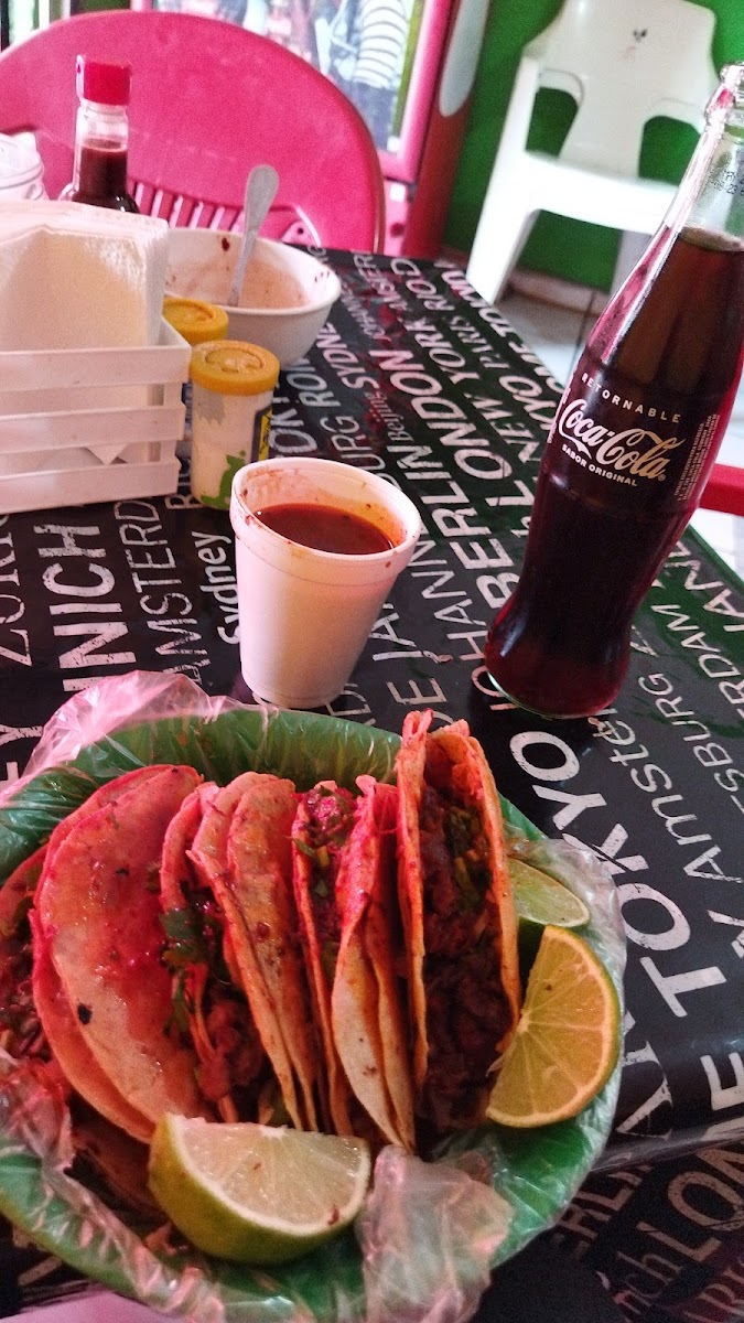 Tacos de Birria Rigo Photo 8