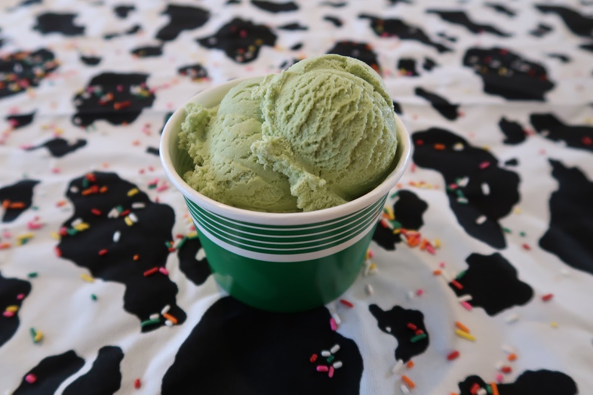 Black Cow Ice Cream Photo 10