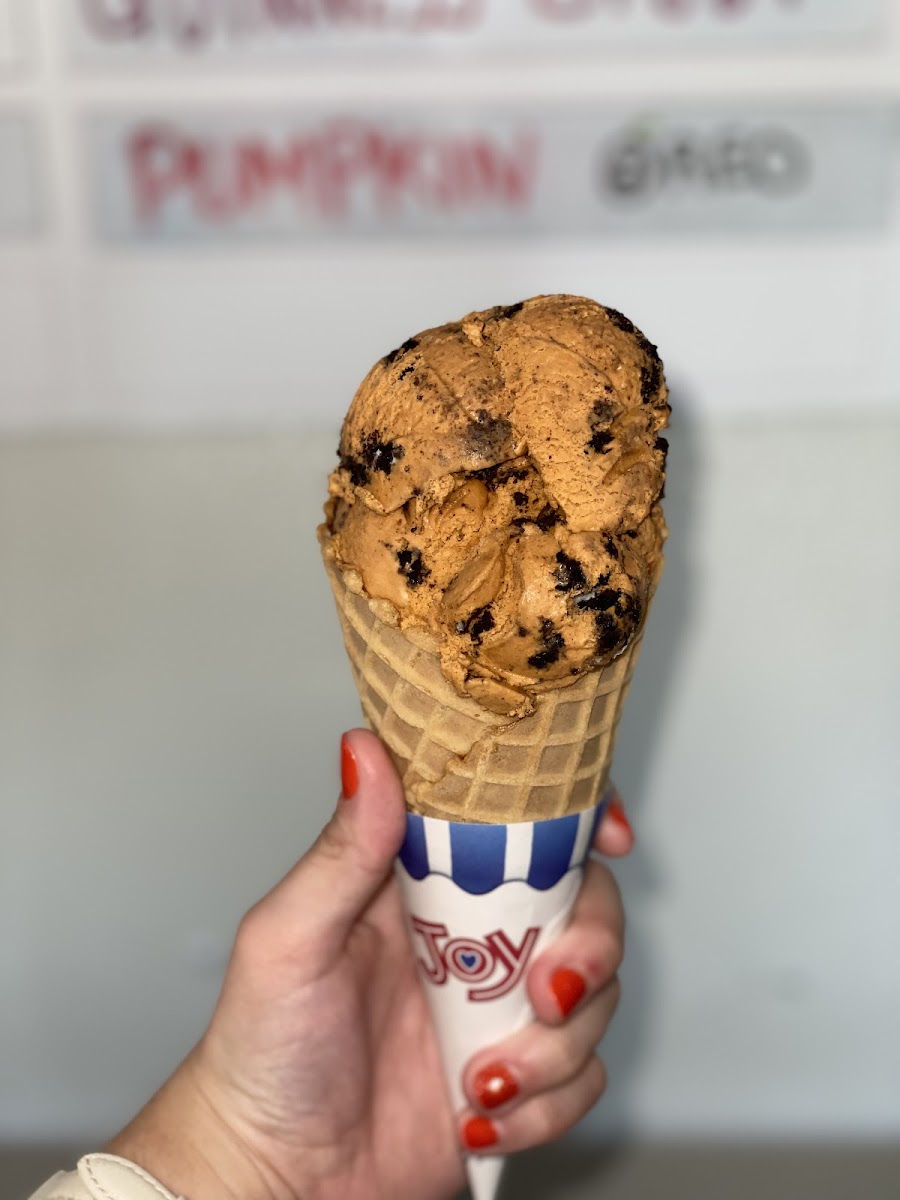 Black Cow Ice Cream Photo 6