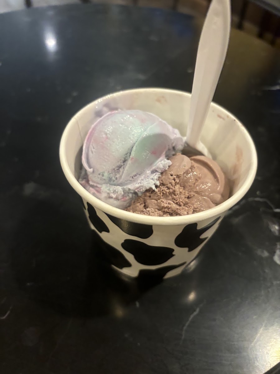 Black Cow Ice Cream Photo 7