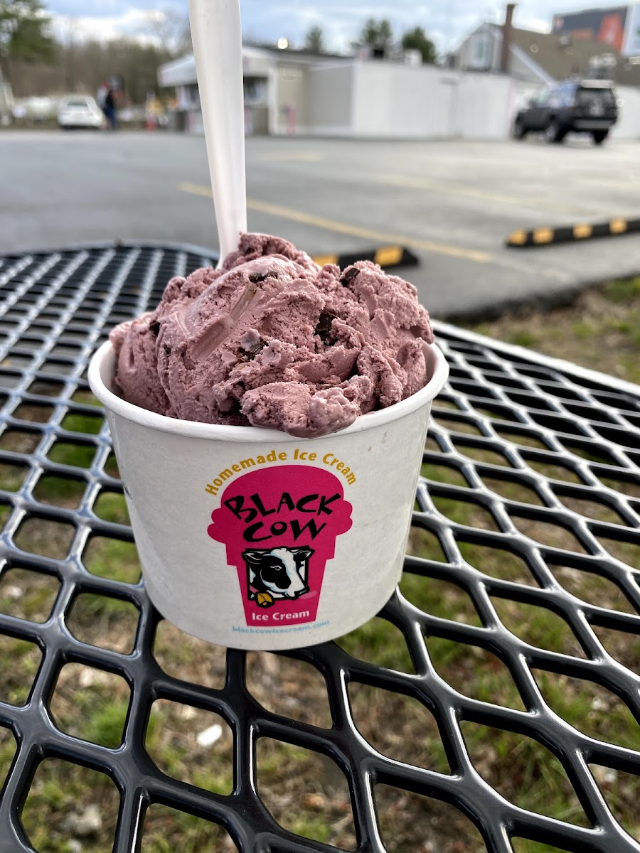 Black Cow Ice Cream Photo 8