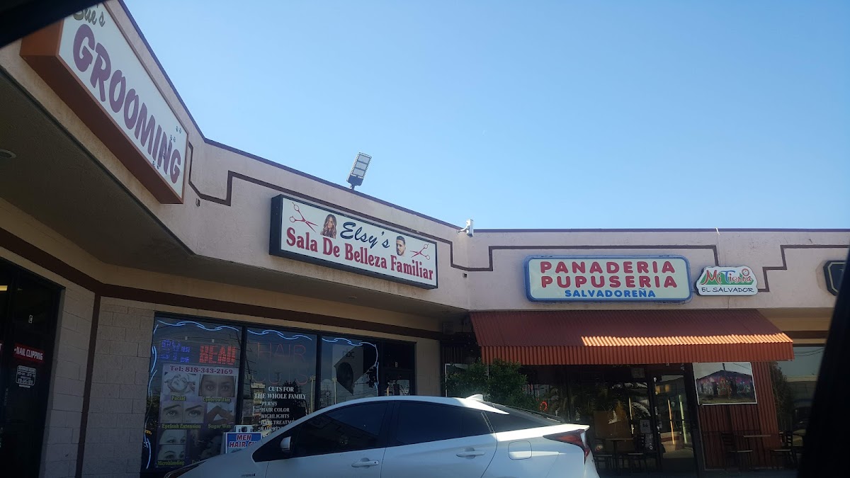 Restaurante Salvadoreño Mi Tierra