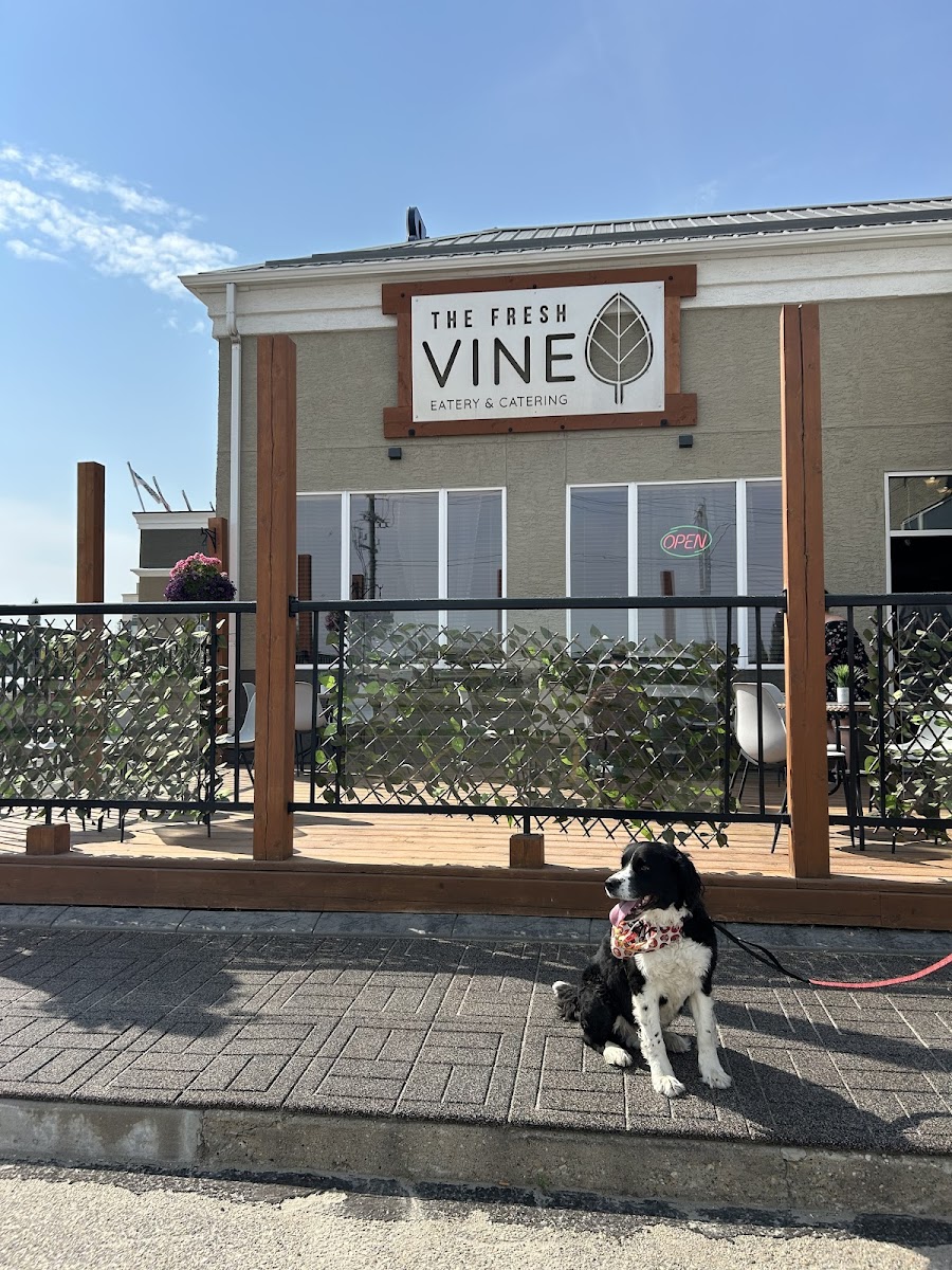 The Fresh Vine Eatery & Catering