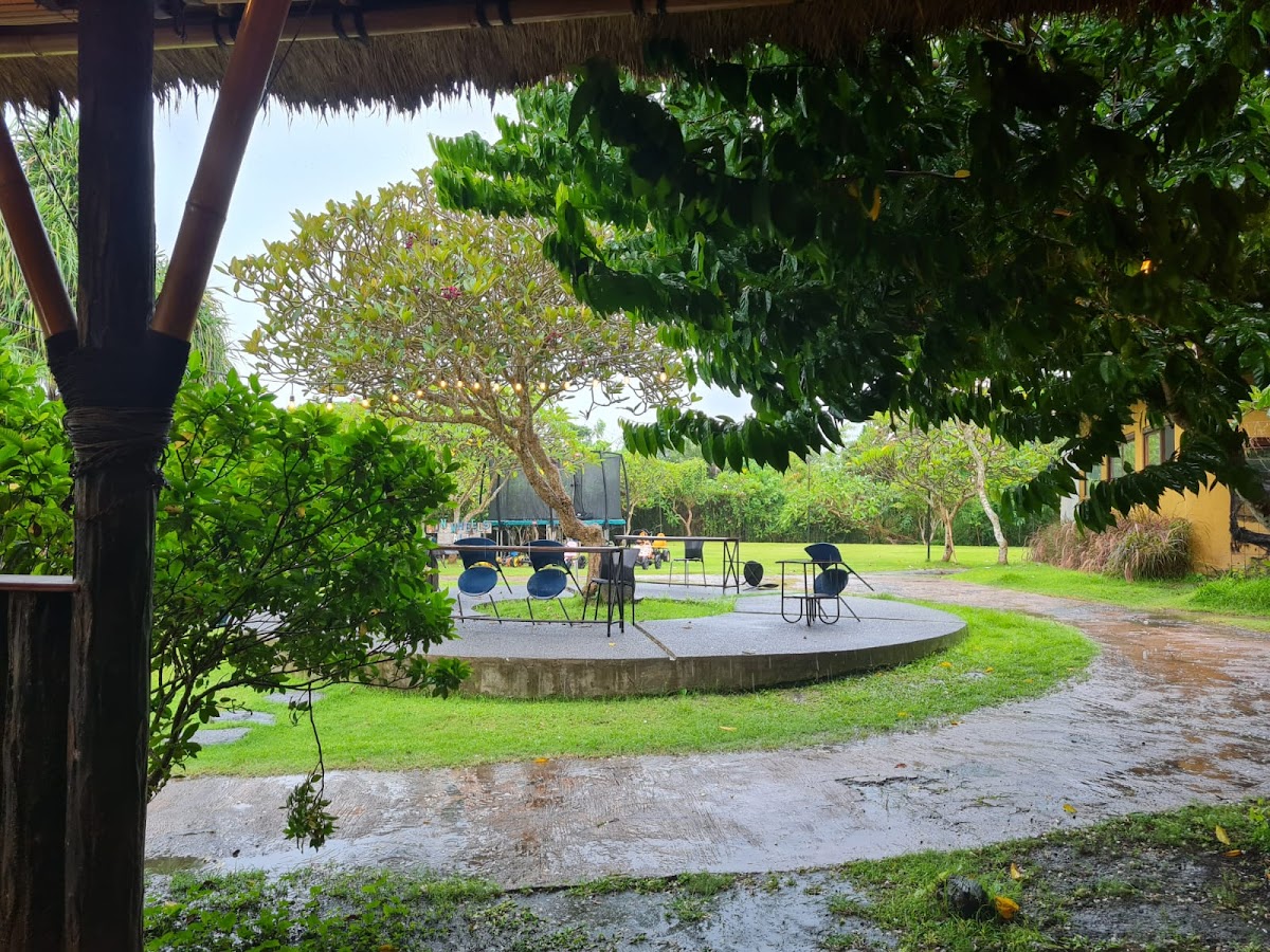 Black Swan Cafe Bali Photo 4
