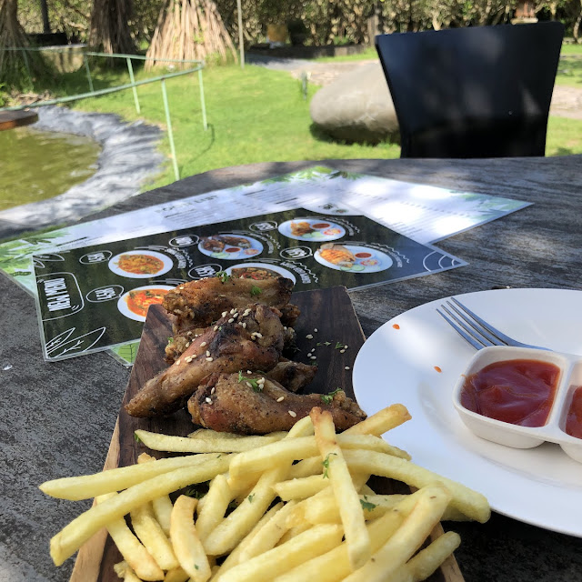 Buffalo Chicken and Fries