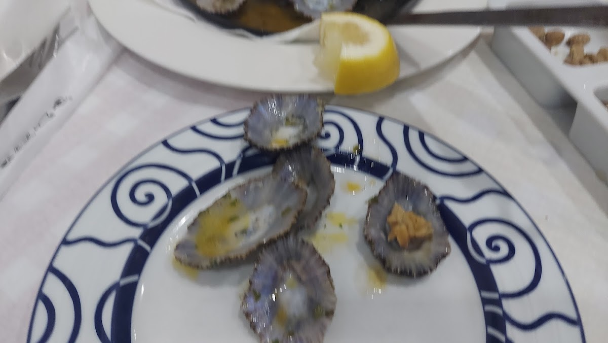 Taberna da Sé Photo 8