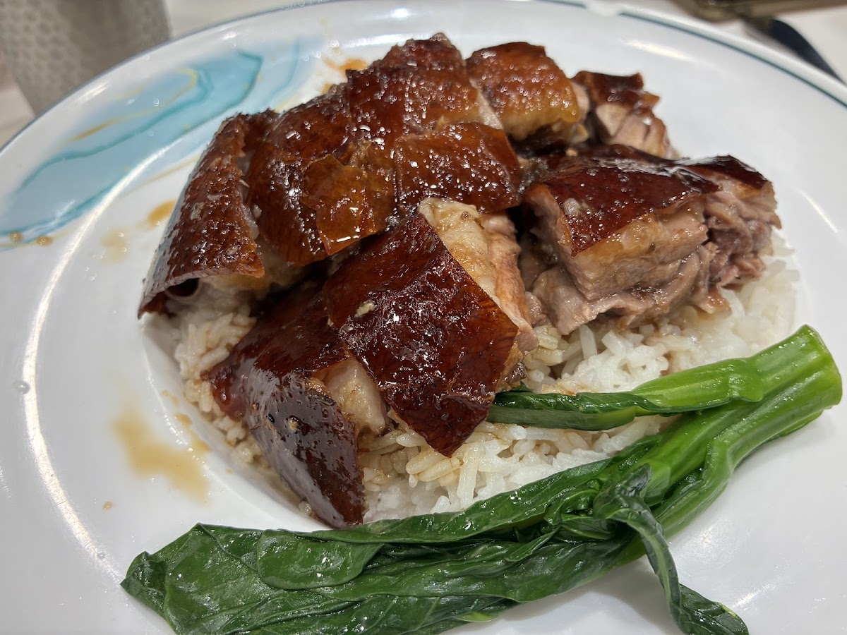 Yung's Roast Goose Restaurant Photo 4
