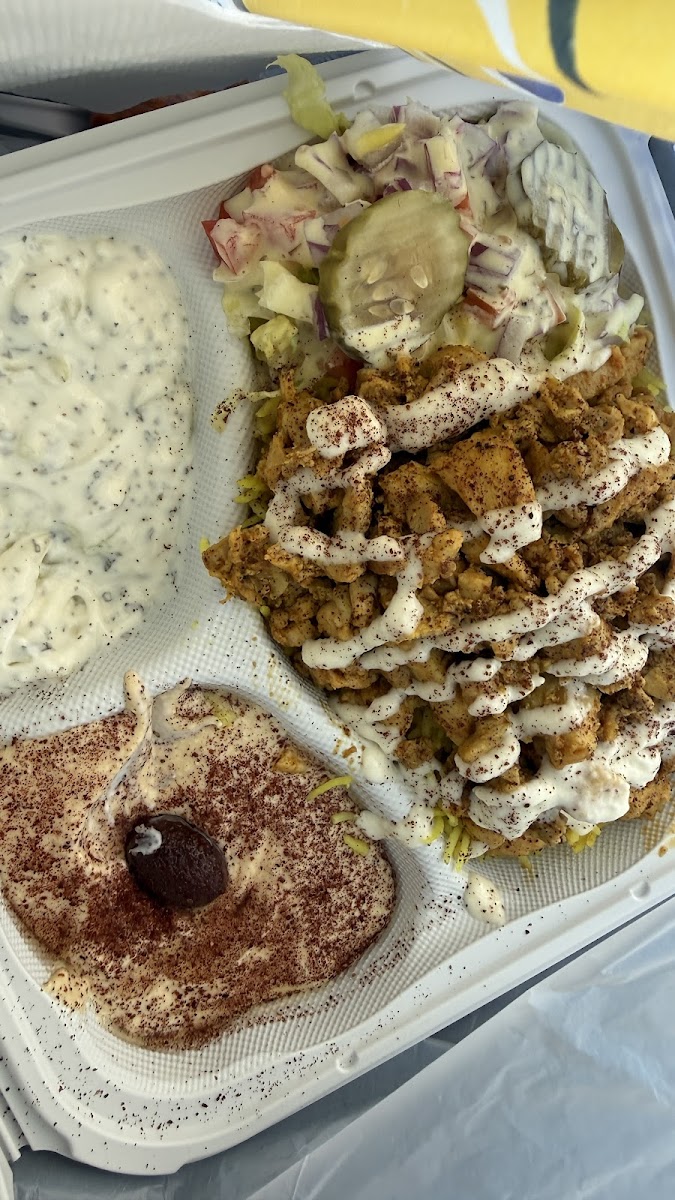 Meso Gyro