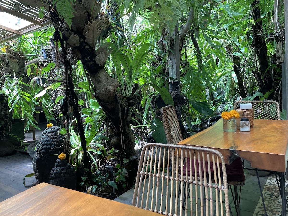 Warung Seni Tejakula Photo 3