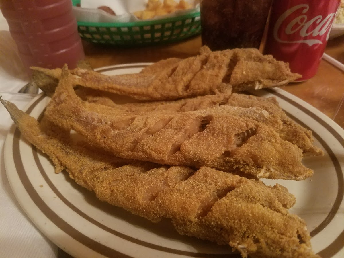 Family Fish House Photo 2